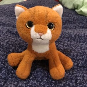 Russ “Brown Tabby Cat”